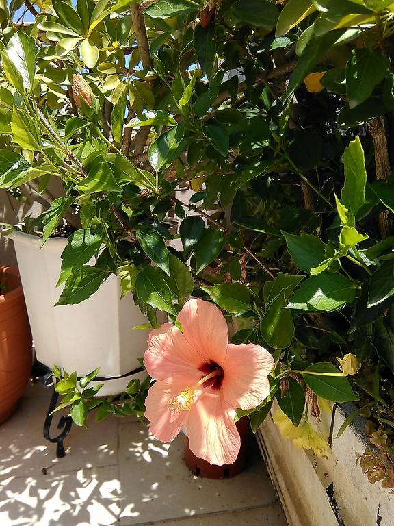 Nikita Traditional House Villa Chania  ห้อง รูปภาพ
