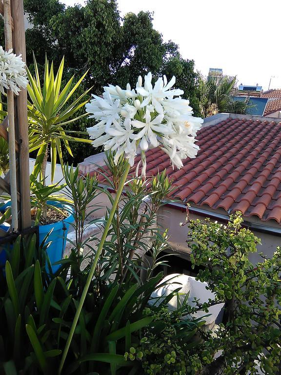 Nikita Traditional House Villa Chania  ห้อง รูปภาพ